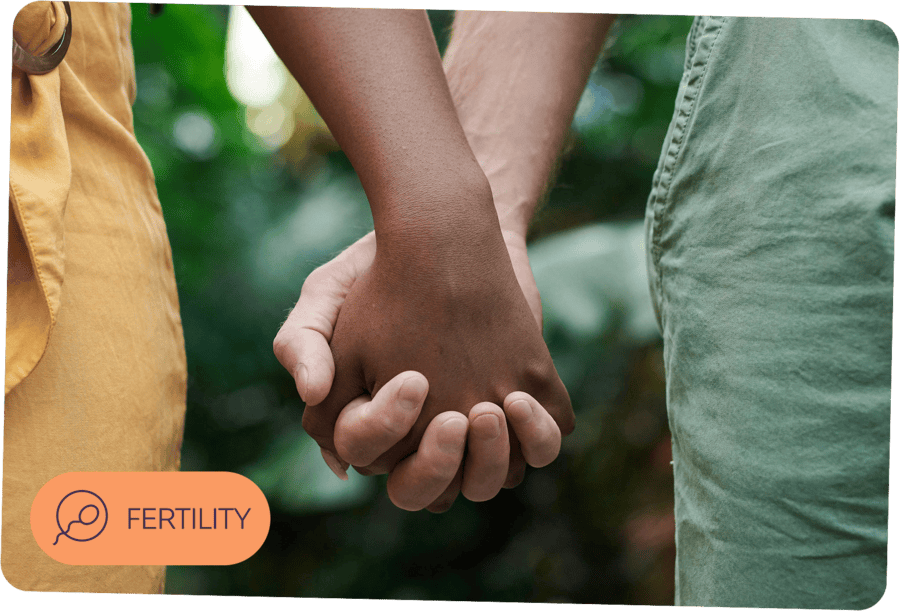 Fertility - What we do