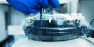 Egg freezing: can working women have it all?