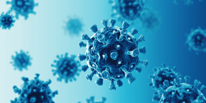 Why is COVID-19 more common in men?